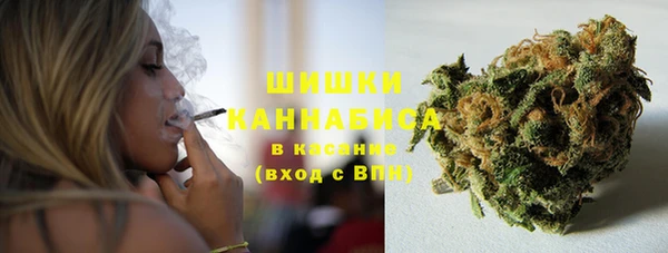 шишки Инта