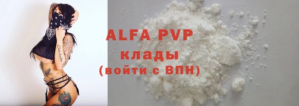 a pvp Щигры