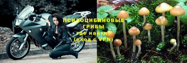 соль ск Иннополис