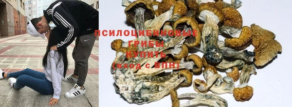 шишки Инта
