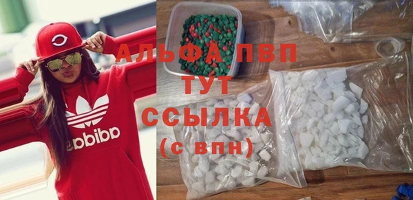 шишки Инта