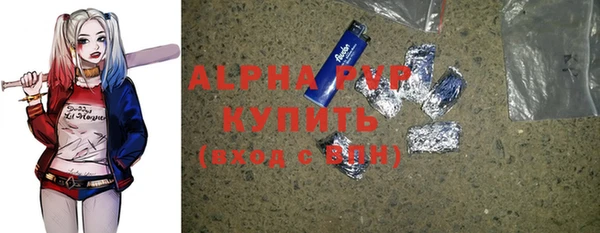шишки Инта