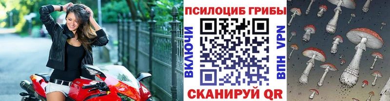 kraken онион  Кирсанов  Псилоцибиновые грибы прущие грибы 